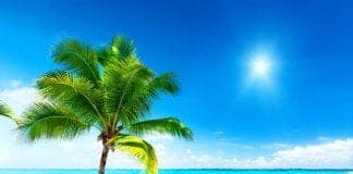 Sıcak ve soğuk çarpmalarında ilk yardım