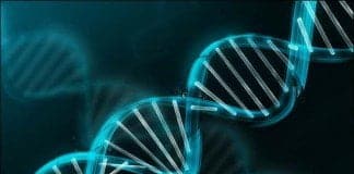 Genler bozulunca kanser oluşuyor